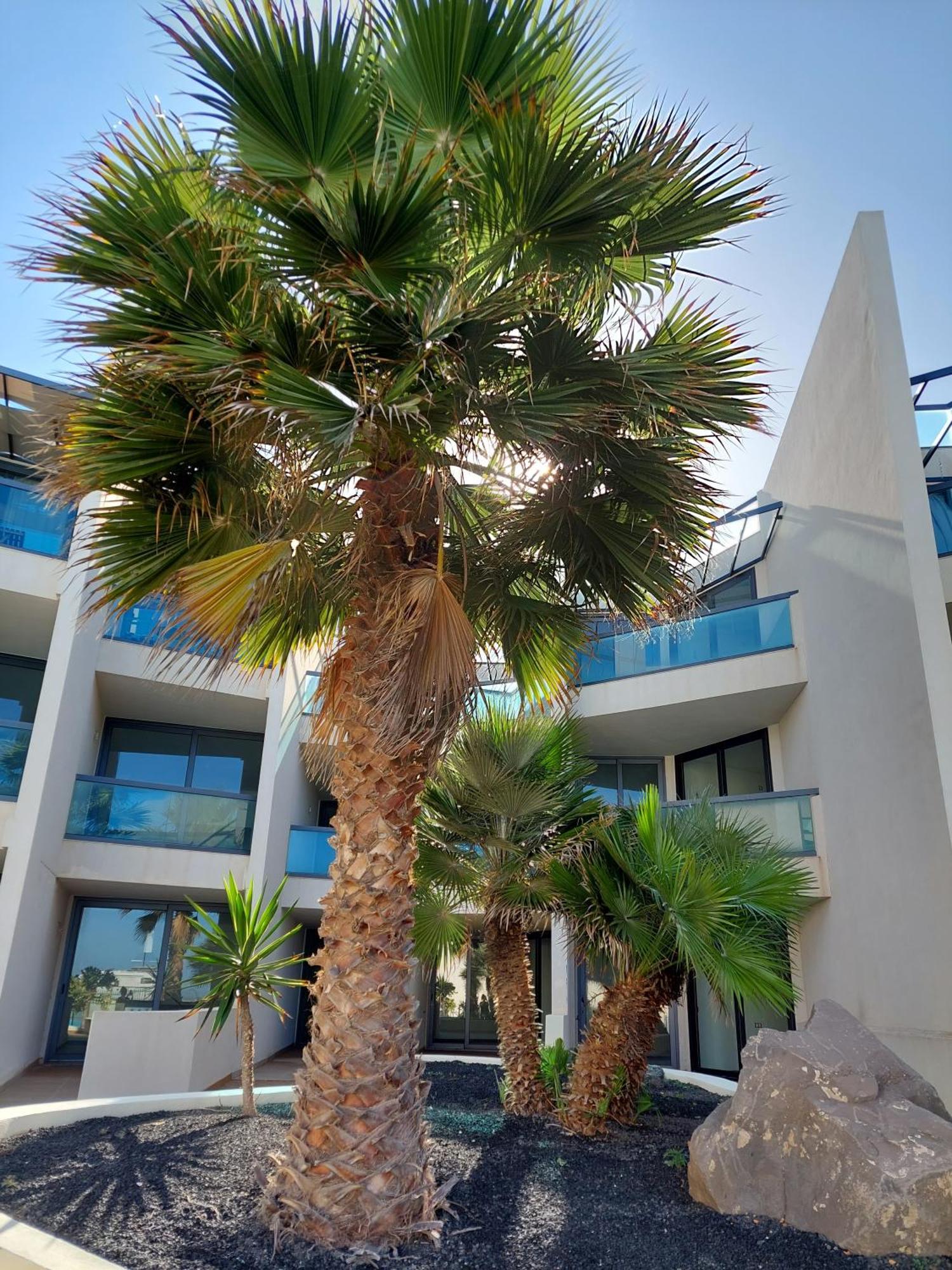 Slow Time Cotillo By Sea You There Fuerteventura エクステリア 写真